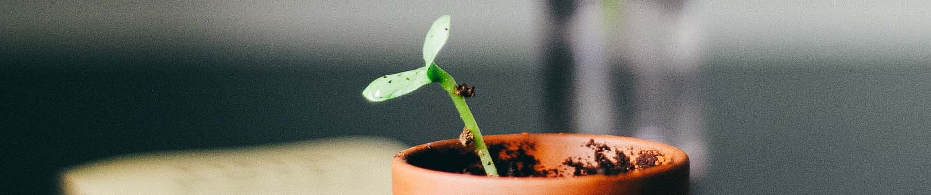 Growth mindset in math: How to help your students thrive