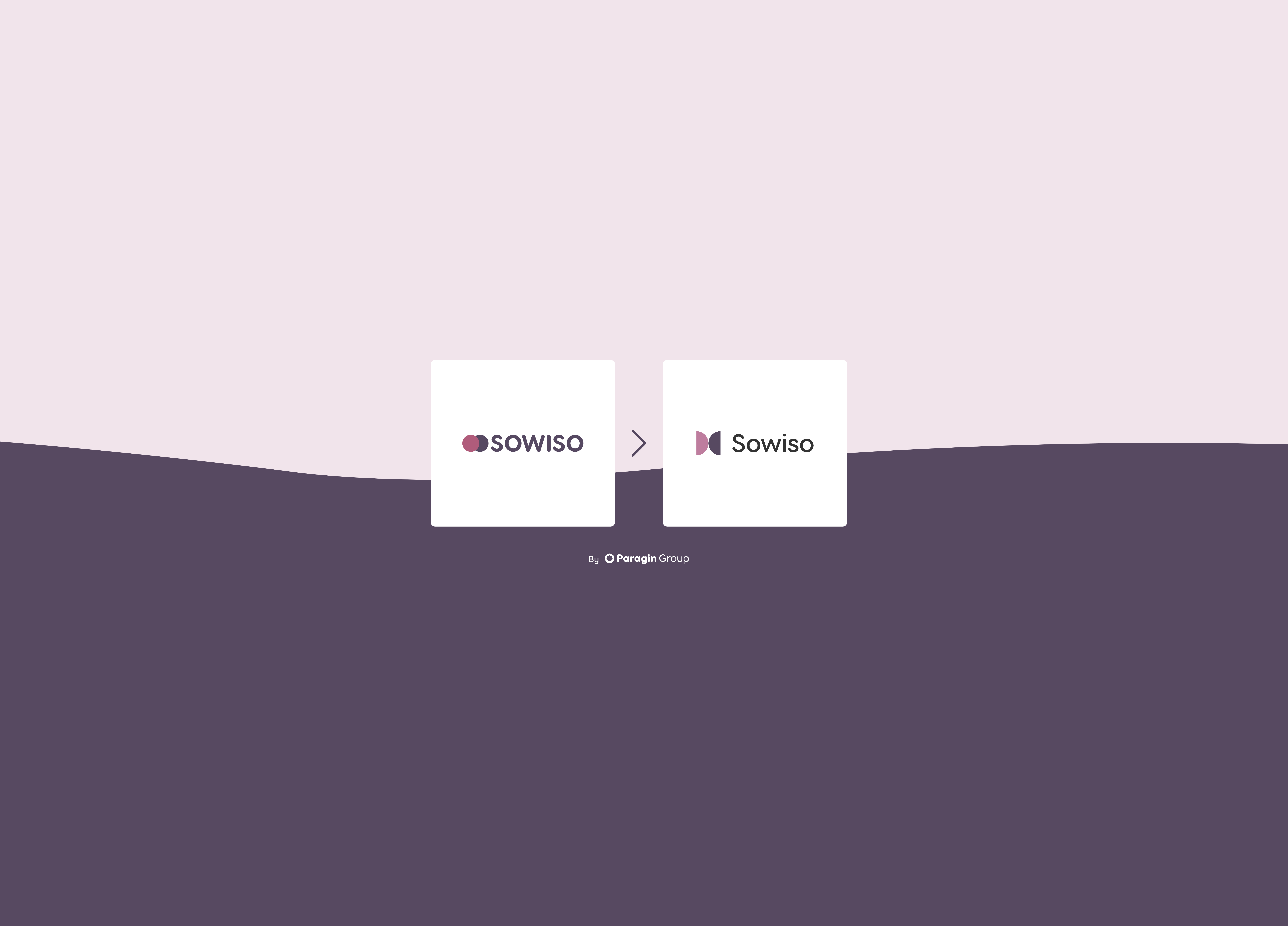 Sowiso is getting a new logo!